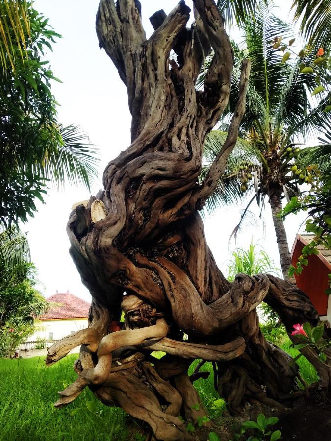 Готель Coconut Гілі-Мено Екстер'єр фото